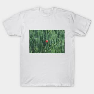 Red Flower on Green Grass T-Shirt